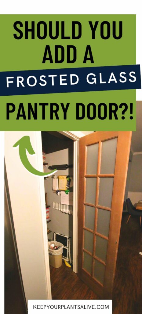 Pros and cons of frosted pantry doors