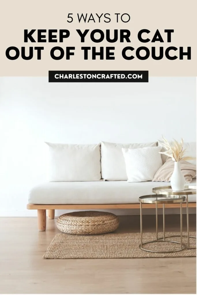 5 ways of keeping your cat out of the couch