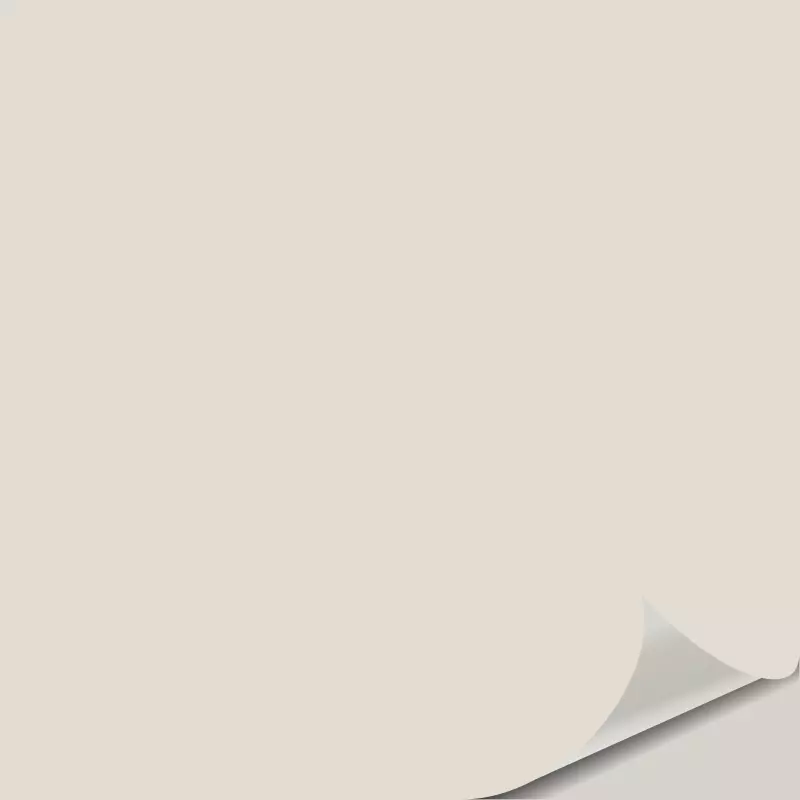 sw aesthetic white