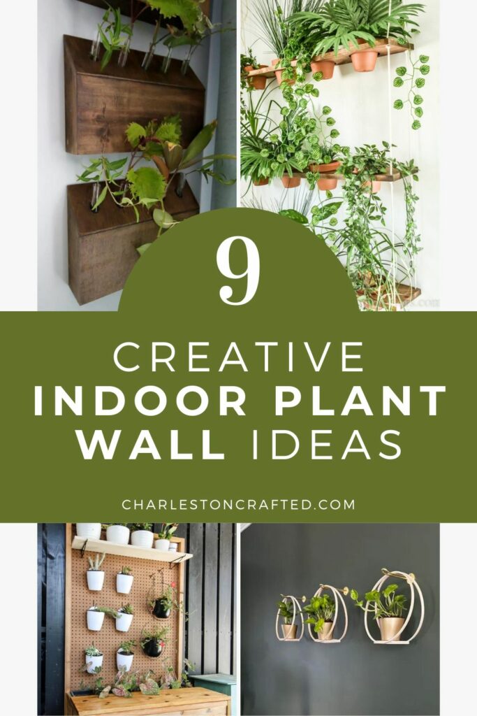9 Creative Indoor Plant Wall Ideas
