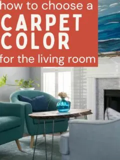 how to choose a carpet color for the living room