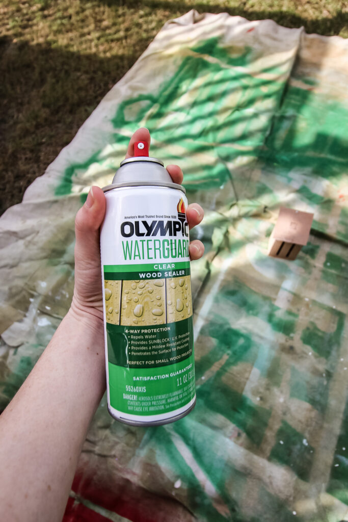 outdoor spray paint sealant