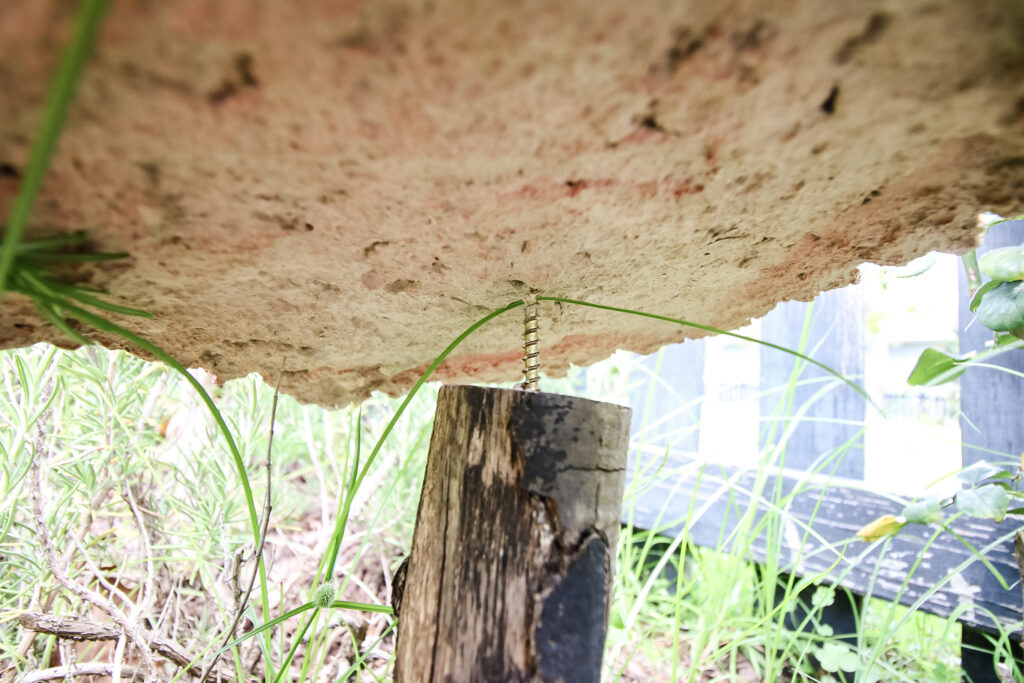Attach mushroom to stem