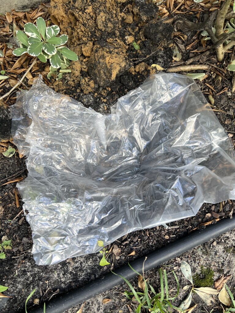 Lay down plastic sheeting