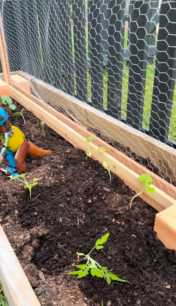watch garden grow