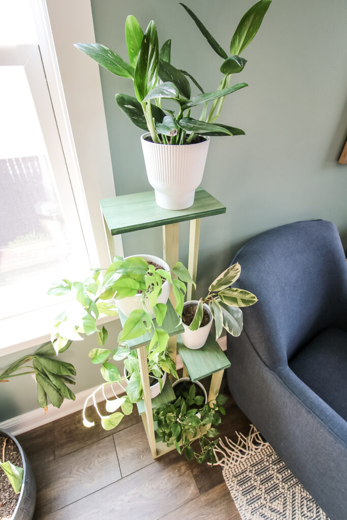 plant tower