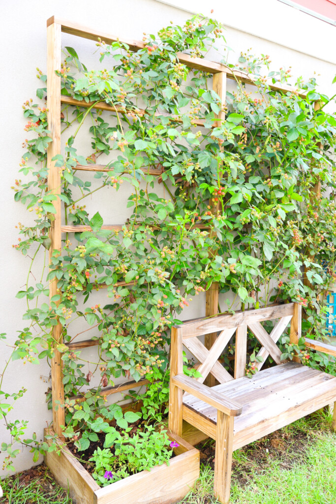 DIY raised garden bed with trellis - Charleston Crafted