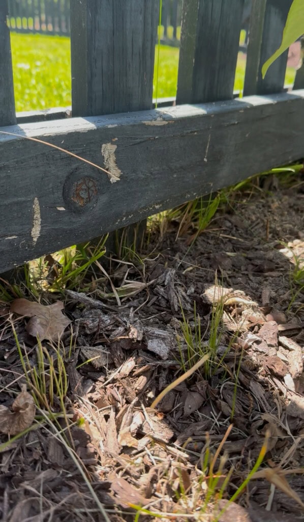 grass coming under fence