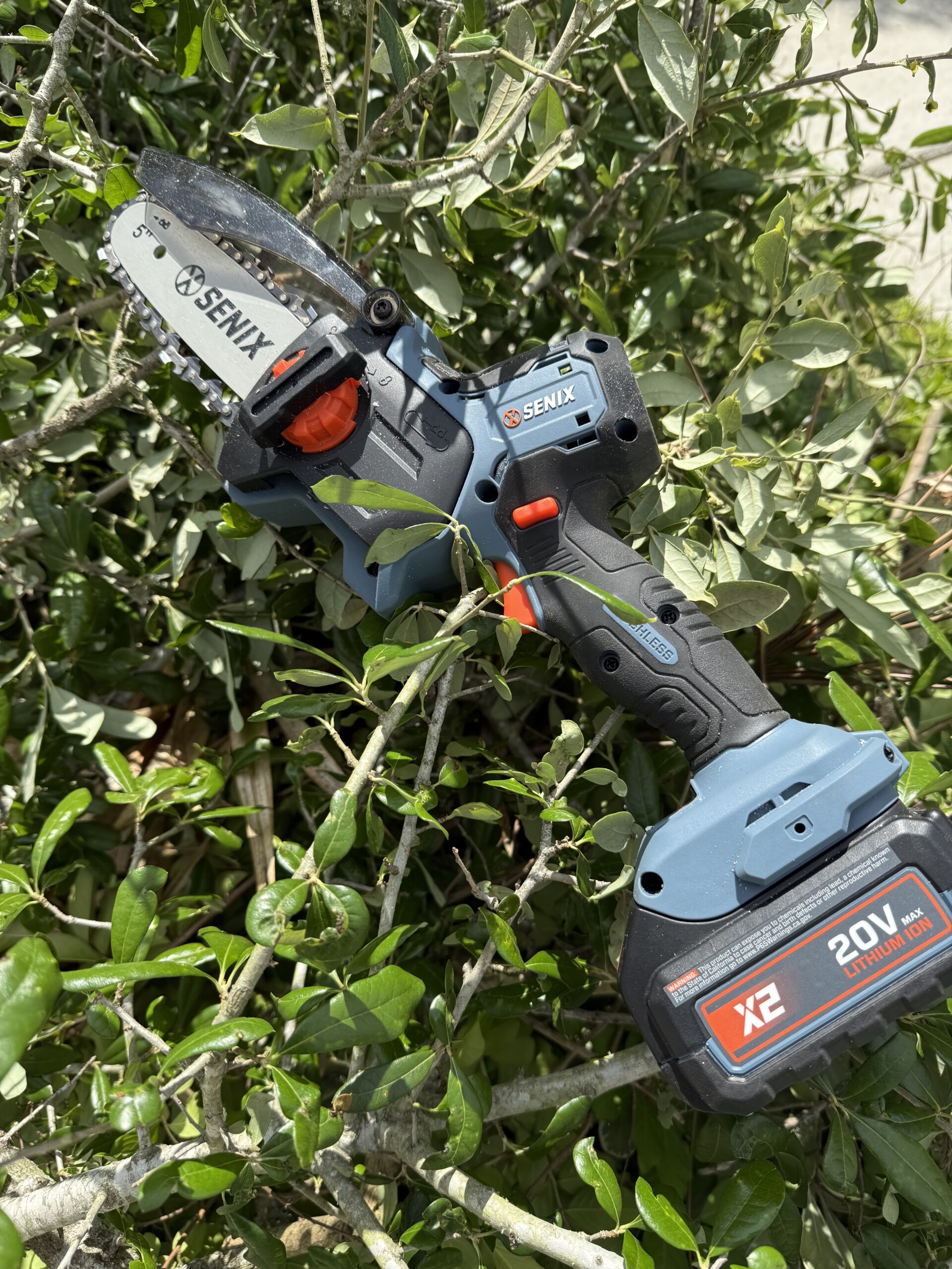 Senix Mini Saw Review - Charleston Crafted
