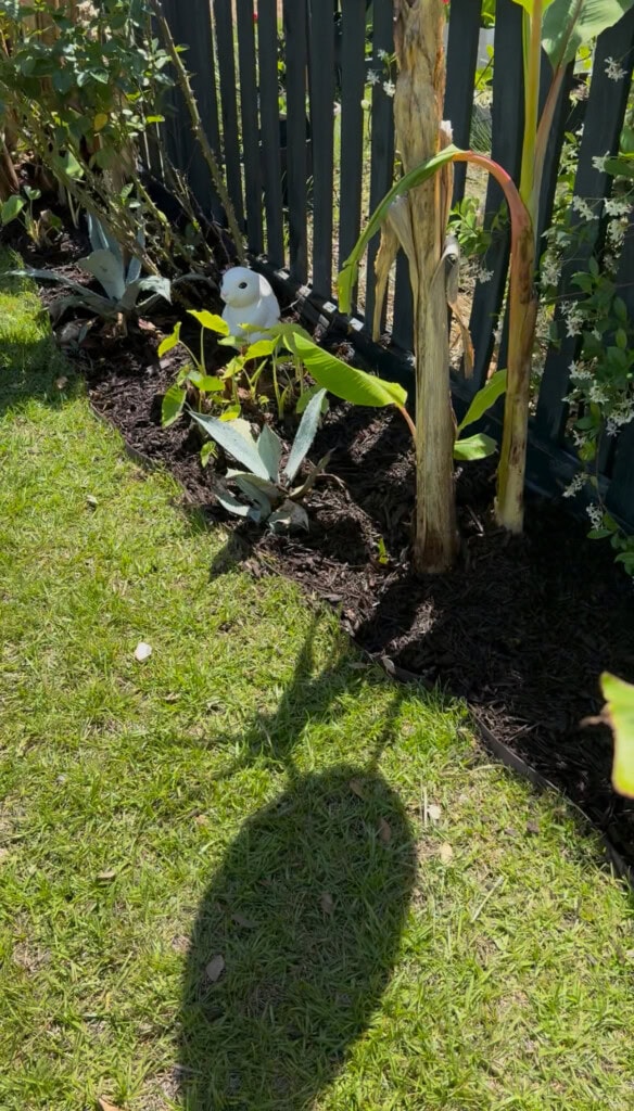 Garden after adding edge barrier