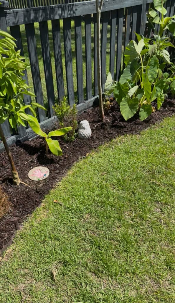 Garden after adding edge barrier