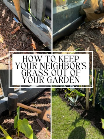 How to keep your neighbors grass out of your garden - Charleston Crafted