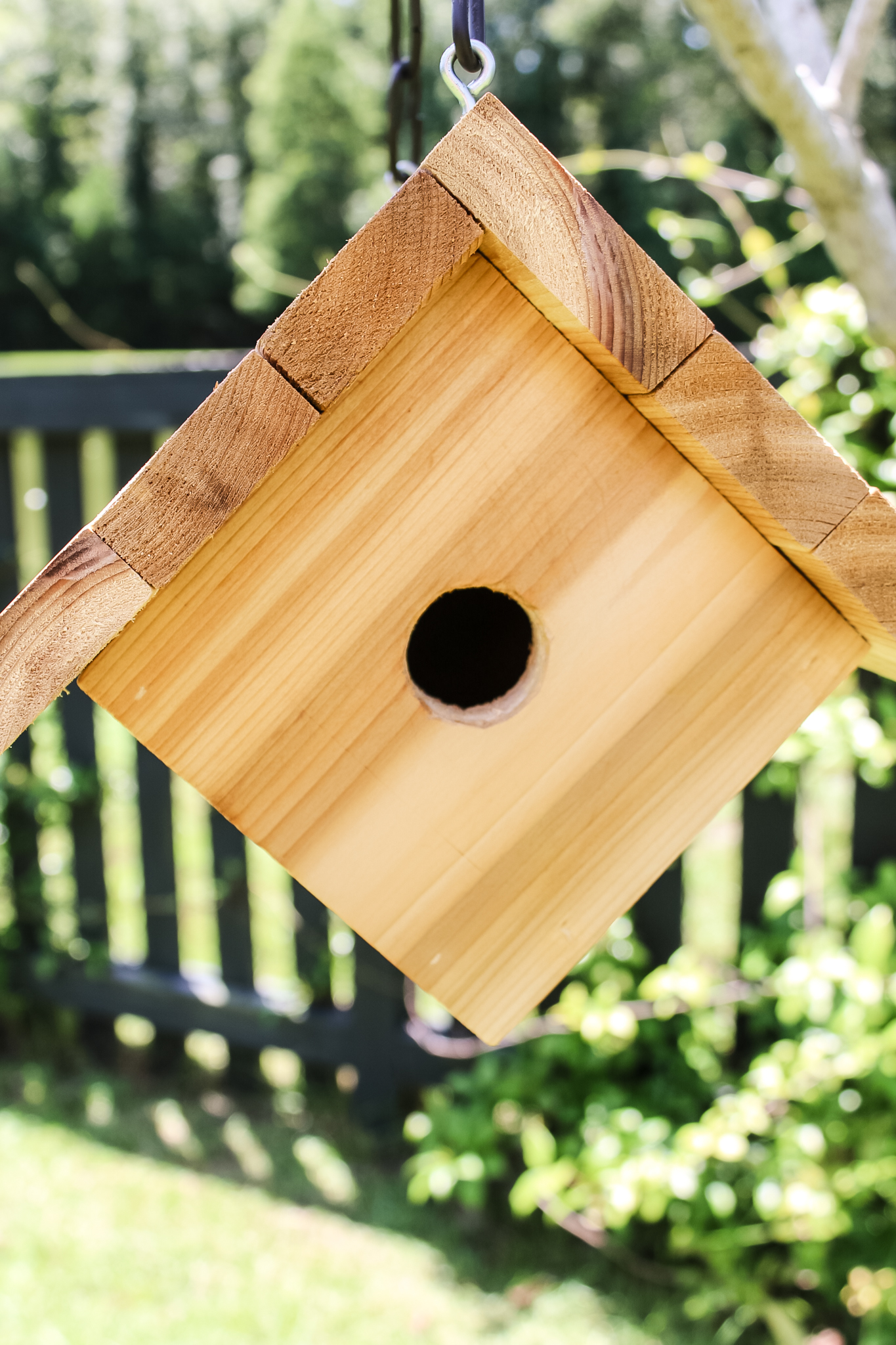 Hole entrance for birdhouse