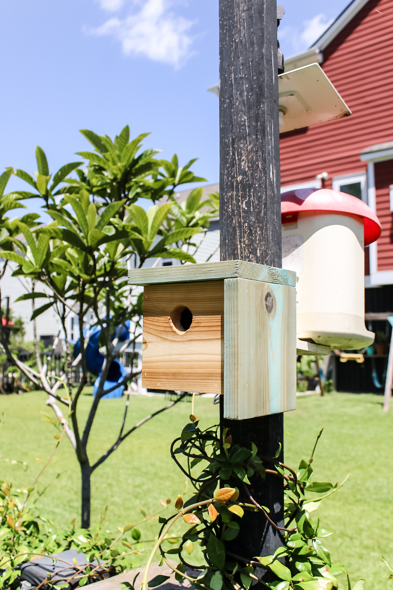 DIY modern birdhouse - Charleston Crafted