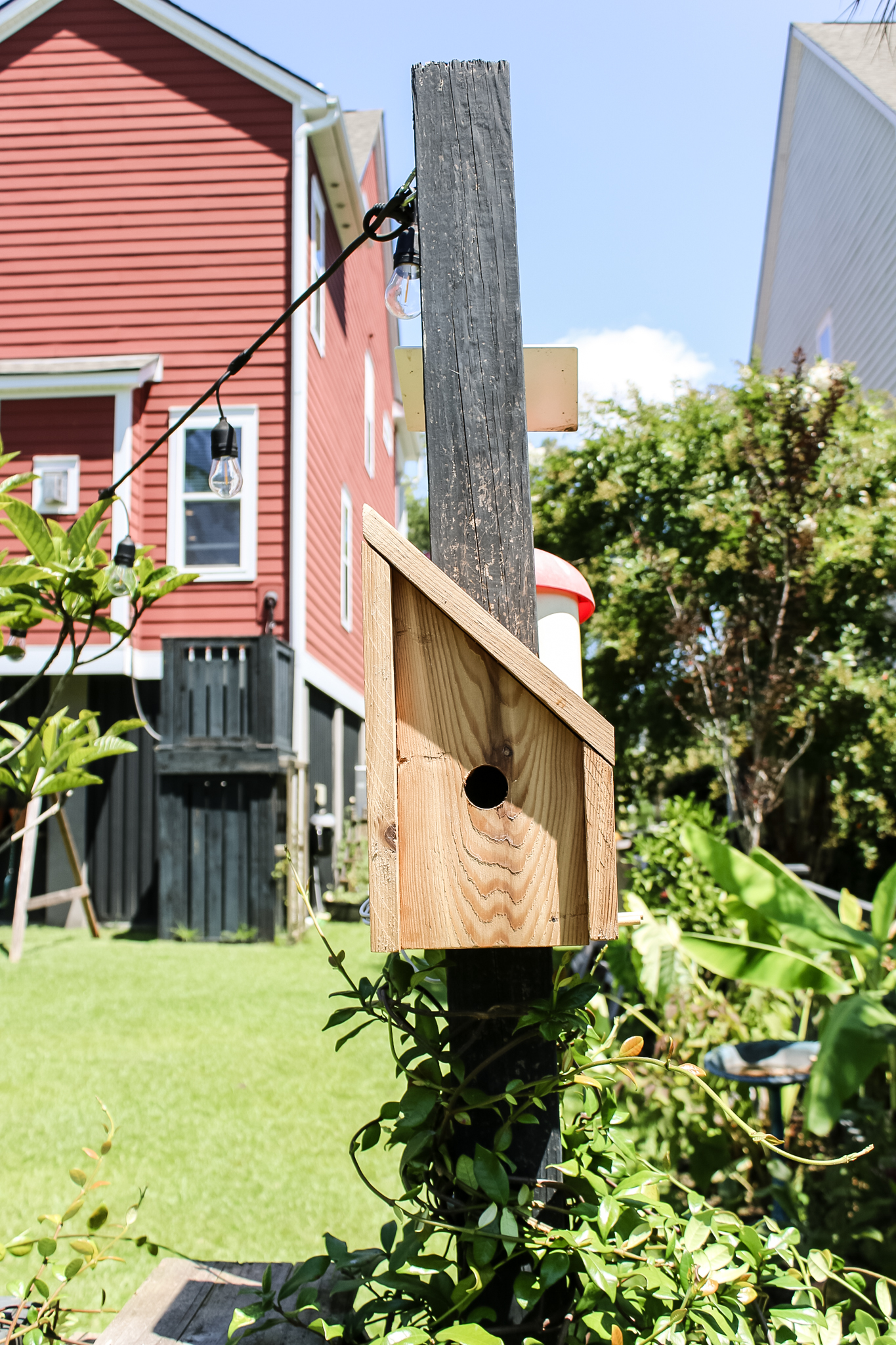 Front of angled bird house