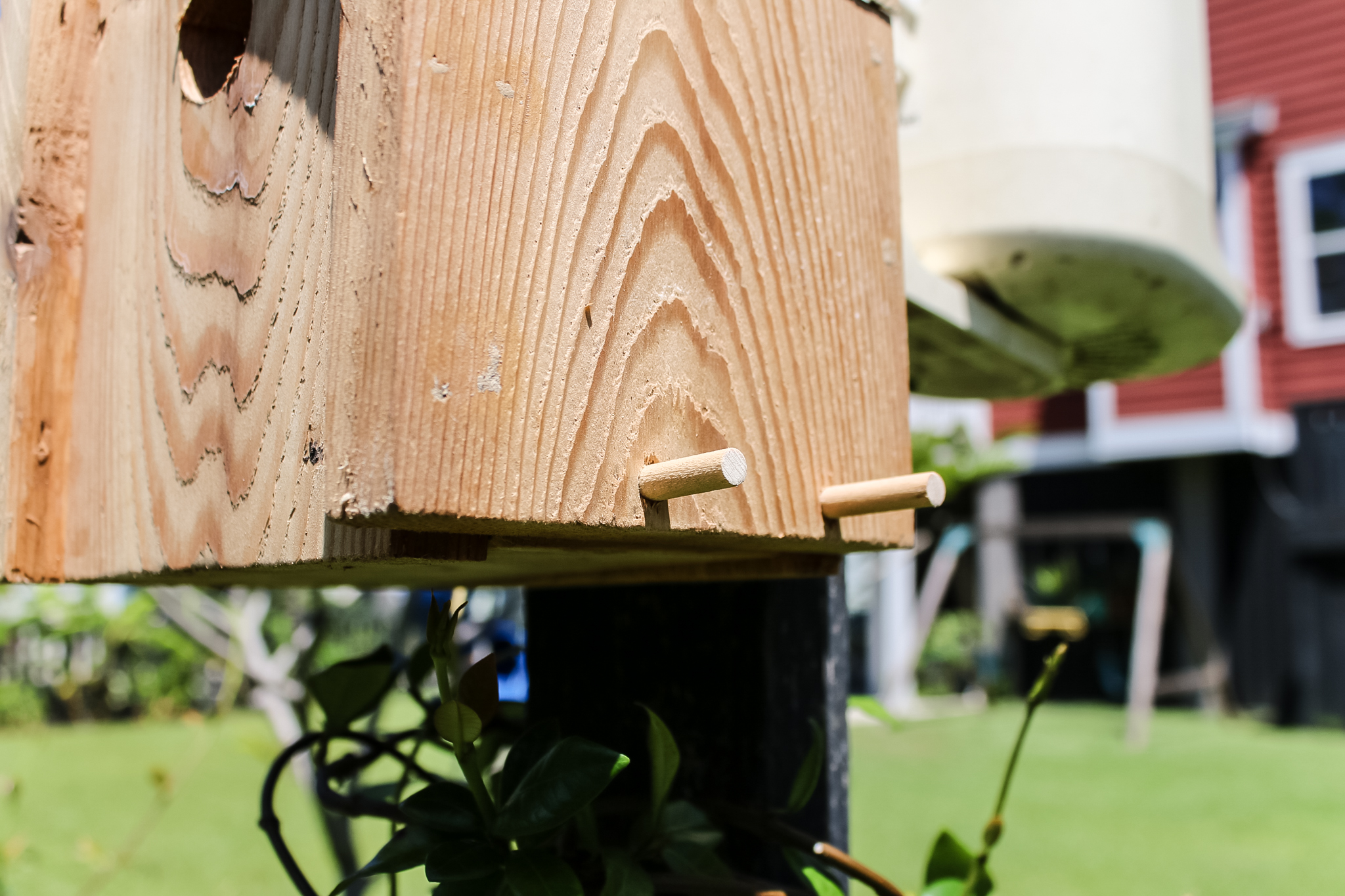 Sides of bird house 