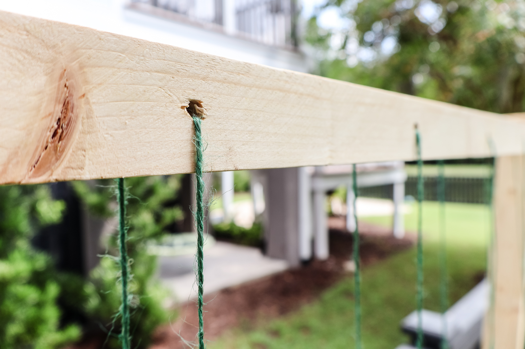 Holes drilled on top of trellis