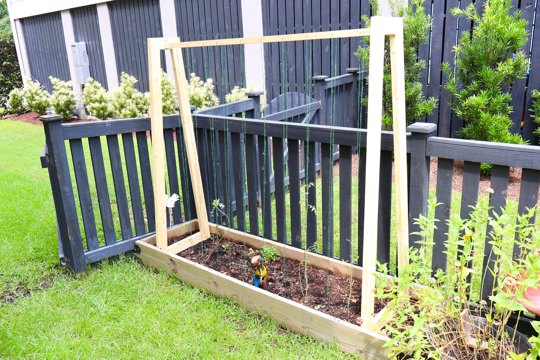 How to build a DIY pea trellis - Charleston Crafted