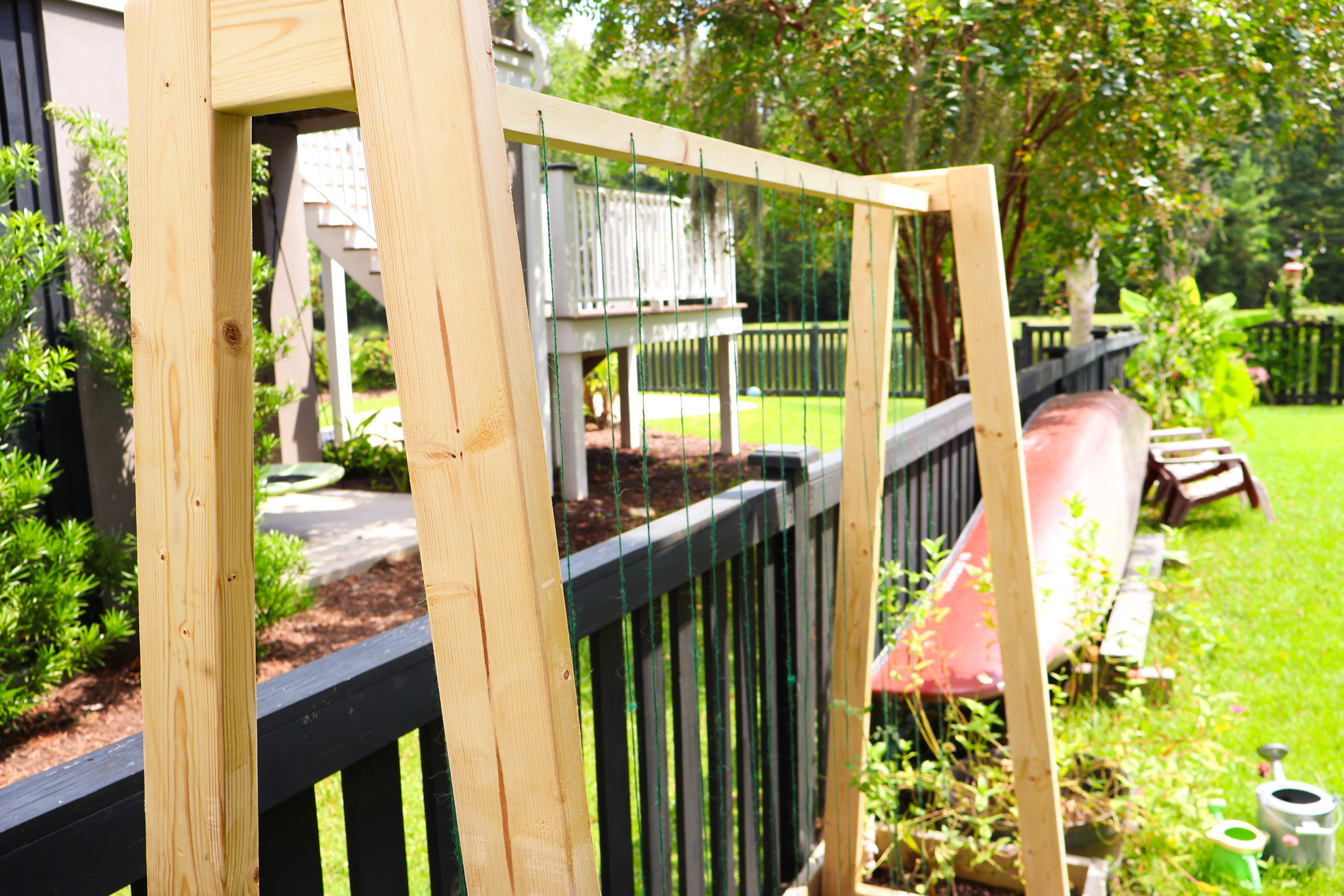 Sides of pea trellis