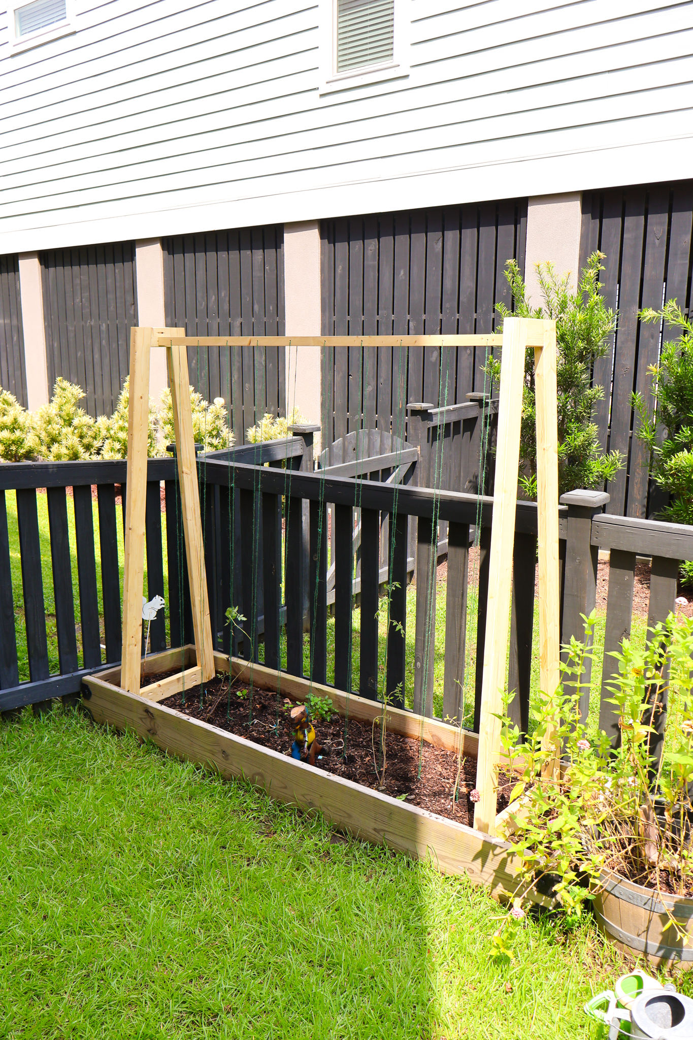 Connected trellis