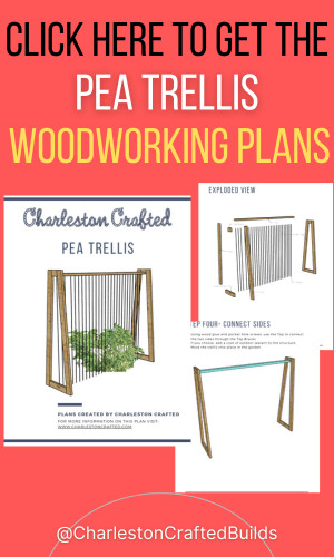 Pea Trellis Woodworking Plans