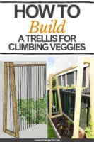 How to build a DIY pea trellis