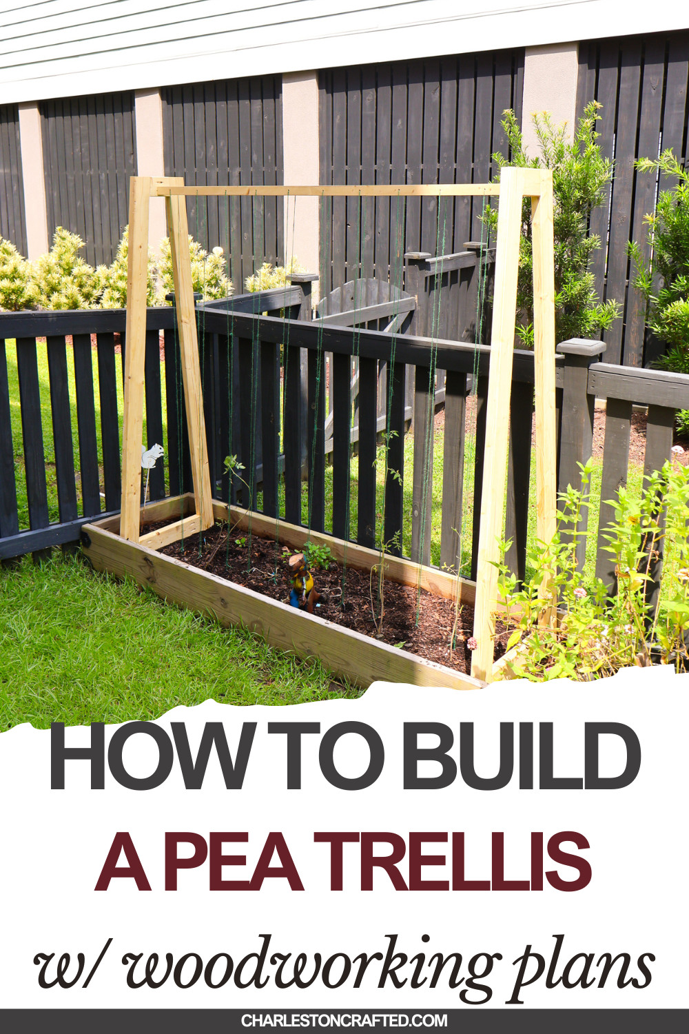 How to build a DIY pea trellis - Charleston Crafted
