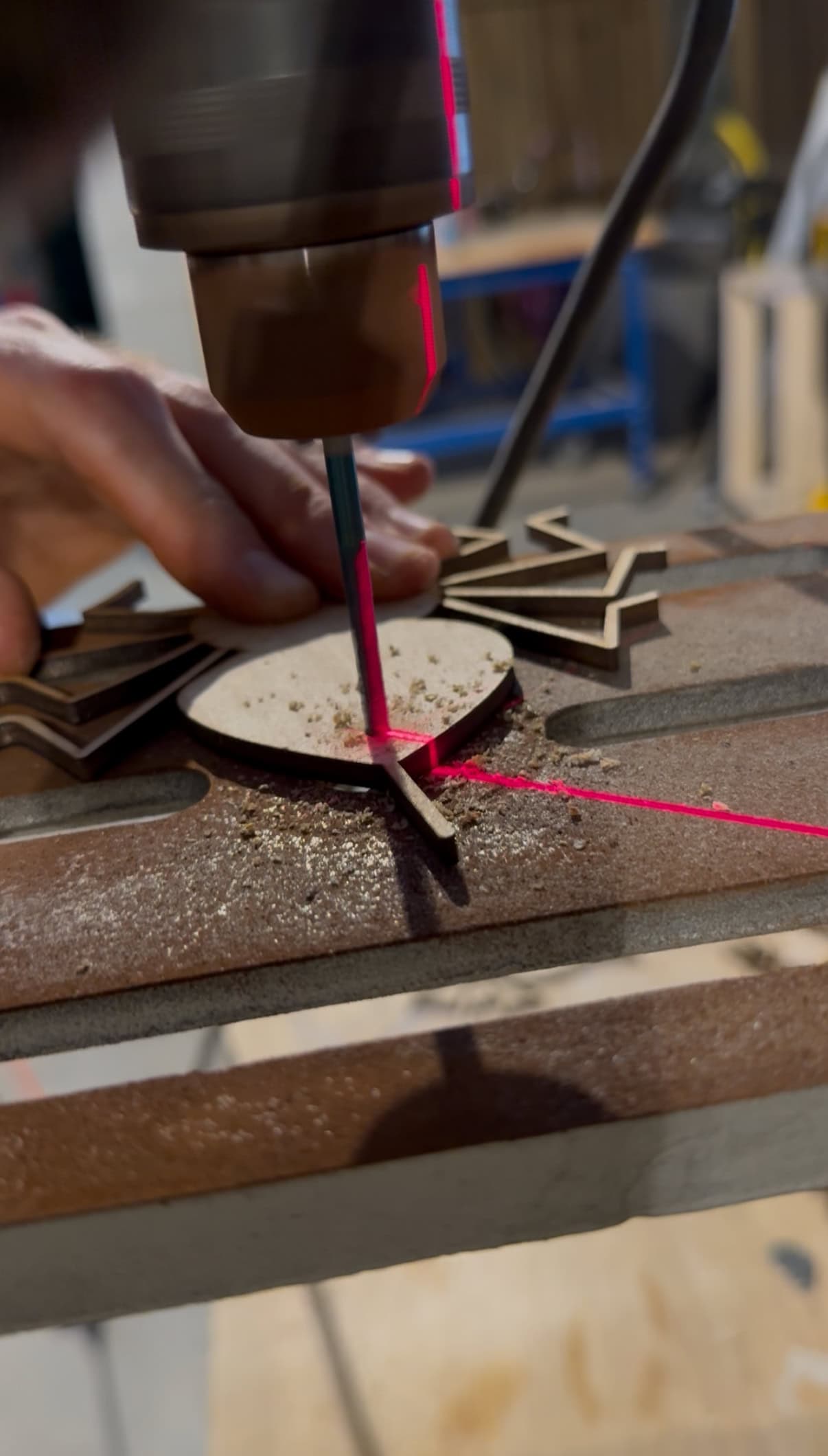 Drilling hole in spiders